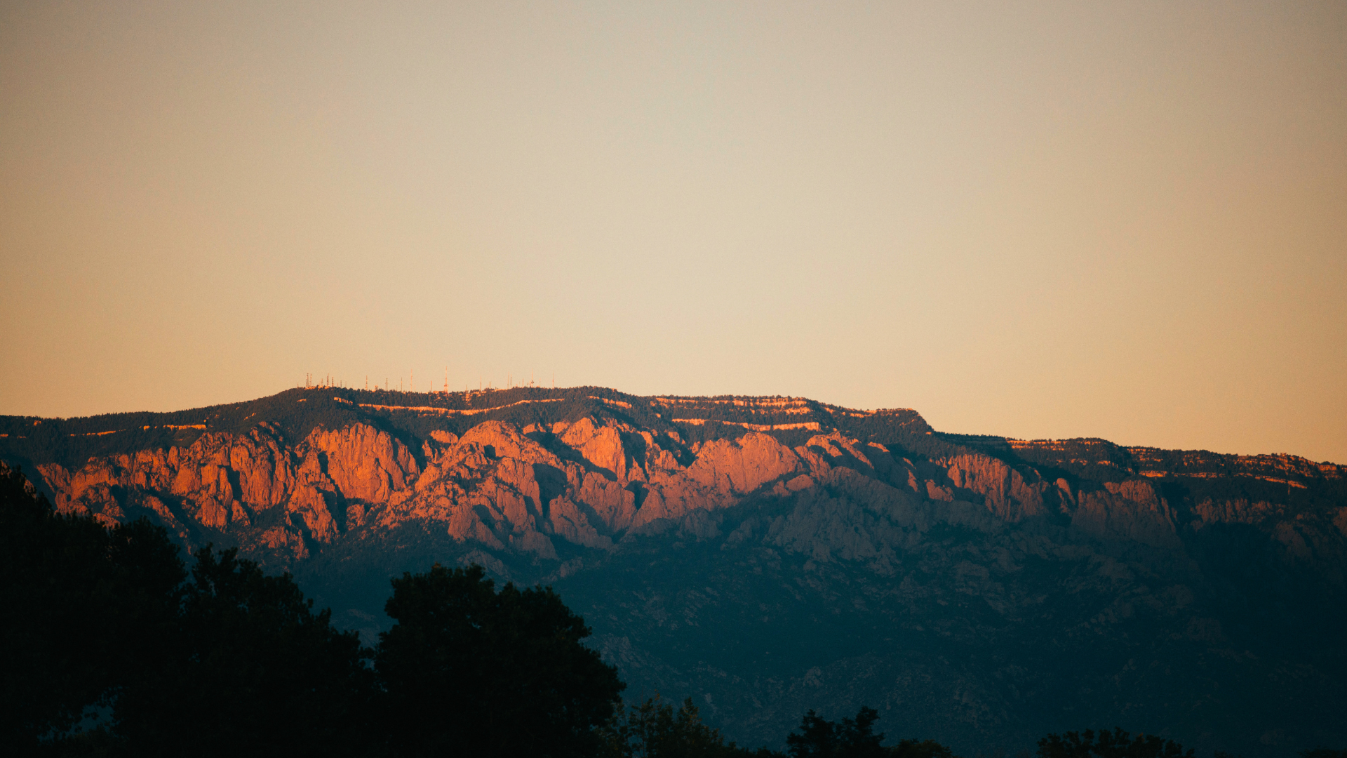 加拿大各大城市最新租房信息 - 4月